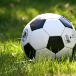 Piłkochwyty a estetyka przestrzeni sportowej