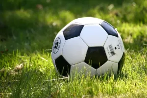 Piłkochwyty a estetyka przestrzeni sportowej